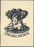 Gál János (1894-1976): Ex Libis Staibl Andor. Linó, Papír, Jelzett A Linón,... - Otros & Sin Clasificación