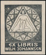 Karl Hugo Frech (1883-1945): Ex Libris Wilh. Johannsen, Fametszet, Papír, Jelzett A Dúcon,... - Other & Unclassified