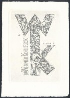 Beier, Ottohans (1892-1979): Ex Libris Dr. Werner Kohleick, Rézkarc, Papír, 11,5×8 Cm - Other & Unclassified