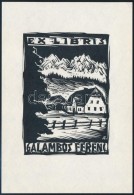 Andruskó Károly (1915-2008): Ex Libris Galambos Ferenc. Linó, Papír, Jelzett, 13x9 Cm - Other & Unclassified