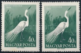 ** 1959 Madarak 40f Fehér Lábú Kócsag + Támpéldány - Other & Unclassified