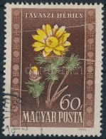 O 1950 Virág 60f KettÅ‘s Papírránccal - Autres & Non Classés