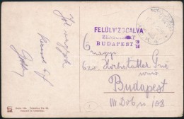 1916 Tábori Posta Képeslap 'A.O.K.4.' - Sonstige & Ohne Zuordnung