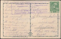 1915 Trieszti Képeslap 'Auguszta FÅ‘hercegasszony Betegszállító Vonata' - Otros & Sin Clasificación