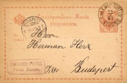 1891 Díjjegyes LevelezÅ‘lap Budapestre 'K. UND K. MILIT. POST LIV. VISOKO' - Autres & Non Classés
