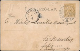 1902 Képeslap AG 1931 Céglyukasztásos Bélyeggel - Other & Unclassified