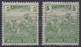 (*) 1919 Magyar Posta 2x5f Jobbra Ill. Balra Tolódott értékszámok - Otros & Sin Clasificación