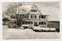 C.P.  PICCOLA   GASTHAUS  UND  PENSION  "ZUM   ROSSLE "      2  SCAN   (VIAGGIATA) - Herrenberg