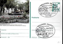 Delcampe - ALLEMAGNE  Carte PAP Rehlingen  1979  Salux Jardin Maison Du Chateaux - Monuments
