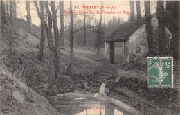 95-PRESLE- FORÊT DE CARNELLE, LA FONTAINE AU ROY - Presles