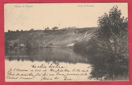 Habay La Neuve - Etang De Bologne - 1907 ( Voir Verso ) - Habay