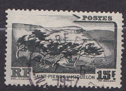 ST PIERRE ET MIQUELON   N° 341  OBL - Gebraucht