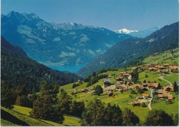 1980 - Habkern - Blick Auf Thunersee Und Wildhorn - Habkern