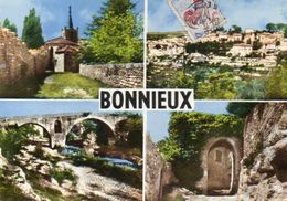 CPSM Dentelée - BONNIEUX (84) - Carte Multi-Vues De 1966 - Bonnieux