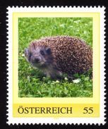 ÖSTERREICH 2007 ** Igel, Hedgehog - PM Personalized Stamp MNH - Nager