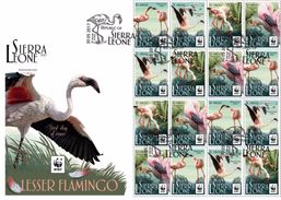 Sierra Leone 2017, WWF, Flamingo, Sheetlet Of 4sets In FDC - Flamants