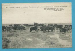 CPA 57 - EN CAMARGUE - Mas De L'Amarée Manade De Taureaux Sauvages 13 - Sonstige & Ohne Zuordnung