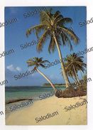 ANTILLES WEST INDIES - SAINT LUCIA - Santa Lucia Palma Palme Beach - XXL Card - Big Format - St. Lucia
