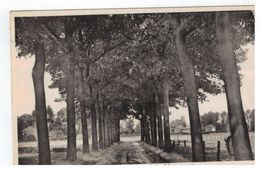 Opgrimbie  Eikenlaan , Links Mettestraatje - Maasmechelen