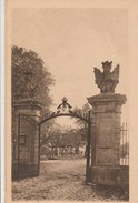 13028) BADEN WUERTTEMBERG LUDWIGSBURG SCHLOSSGARTEN EINGANG NON VIAGGIATA 1920 CIRCA - Ludwigsburg