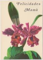 1981-EP-102 CUBA 1981 POSTAL STATIONERY. Ed.128e. DIA DE LAS MADRES. MOTHER DAY SPECIAL DELIVERY. ORCHILD FLOWER UNUSED - Brieven En Documenten