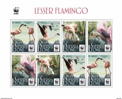 Sierra Leone 2017, WWF, Flamingo, Sheetlet Of 2sets - Flamingo