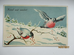 ESTONIA NEW YEAR , WINTER BIRDS , SIGNED MAX ROSMANN  , OLD POSTCARD   ,  0 - Petersen, Hannes