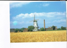 41372 DEERLIJK - Molen Declercq - Deerlijk