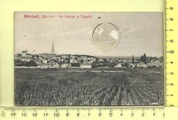 MEURSAULT: Vue Générale Et Vignoble - Meursault