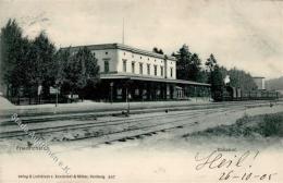 Friedrichsruh (2055) Bahnhof Eisenbahn 1905 I-II Chemin De Fer - Sonstige & Ohne Zuordnung