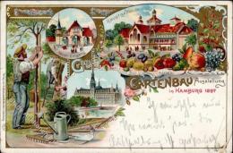 Hamburg (2000) Gartenbauausstellung 1897 Rathaus Lithographie 1897 II- (kleine Stauchung, Stauchungen) - Sonstige & Ohne Zuordnung