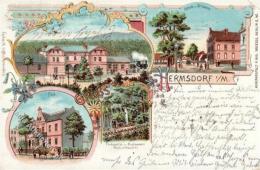 Hermsdorf (1000) Bahnhof Postamt Postkutsche Gasthaus Waldschlösschen Lithographie 1901 II (kleine Stauchung) - Sonstige & Ohne Zuordnung