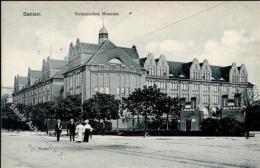 Dahlem (1000) Botanisches Museum 1908 I-II - Sonstige & Ohne Zuordnung