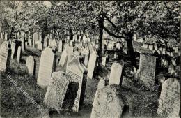 Judaika - Judenfriedhof KOLIN I-II Judaisme - Giudaismo