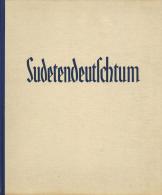 Buch WK II Sudetendeutschtum Hrsg. Deutscher Kulturverband 1936 Ed. Kaiser Verlag Böhmisch Leipa Leipzig 256 Seiten - Weltkrieg 1939-45