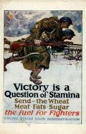 Propaganda WK II USA Victoria Is A Question Of Stamina Künstlerkarte I-II - Weltkrieg 1939-45