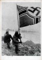 Propaganda WK II Edelweiss Division Fahne Ansichtskarte I-II - Weltkrieg 1939-45