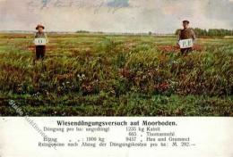 Düngerwerbung Wiesendüngungsversuch Auf Moorboden 1912 I-II - Reclame