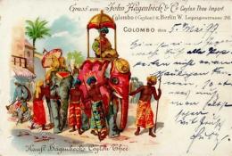 CEYLON-THEE COLOMBO - Gruss Von John HAGENBECK (Zirkus) I-II Montagnes - Publicidad