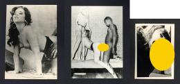 Erotik Partie Mit über 140 Private Fotos Div. Formate In 4 Alben Und Lose I-II Erotisme - Pin-Ups