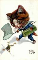 Thiele, Arthur Katze Personifiziert Frosch Künstlerkarte 1914 I-II Grenouille Chat - Thiele, Arthur