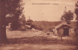 SAINT GILLES CROIX DE VIE LE MARAIS  (dil59) - Saint Gilles Croix De Vie