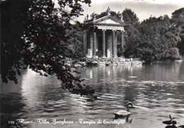 Roma - Villa Borghese - Tempio Di Esculapio - Parken & Tuinen