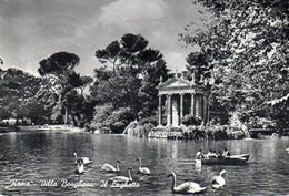 Roma - Villa Borghese - Il Laghetto - Parcs & Jardins