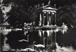 Roma - Villa Borghese, Il Laghetto - Parken & Tuinen