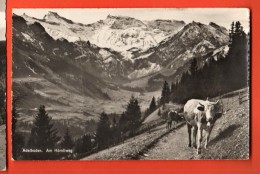 EAM-23 Adelboden. Am Hörnliweg. Kuhe. Gelaufen In 1959 - Adelboden