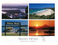 (40) AUSTRALIA - (with Stamp At Back Of Card) - QLD - Noosa Heads - Sunshine Coast