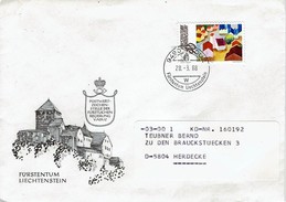 Liechtenstein -  Umschlag Echt Gelaufen / Cover Used (O711) - Brieven En Documenten