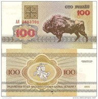 Belarus P8, 100 Rublei, Bison / Pagonya Warrier W/sword & Shield On Horseback - Bielorussia