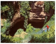 (60) Australia - SA - Mt Gambier Cave Garden - Mt.Gambier